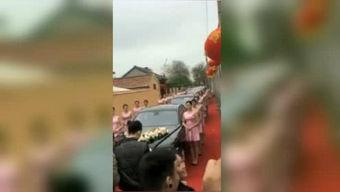 天涯爆料燕子最新,燕子最新动态揭秘，神秘事件引热议