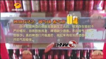兰州啤酒爆料视频大全,探寻啤酒背后的故事与魅力