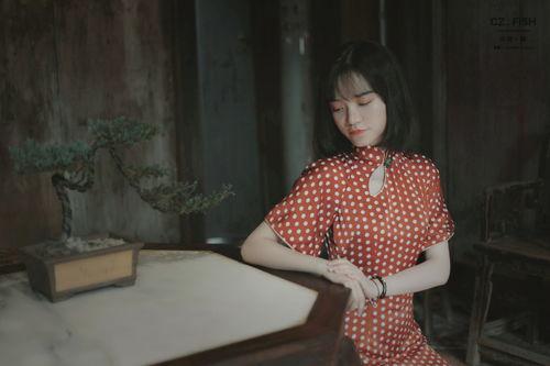 窈窕淑女 在线观看,重温经典爱情故事